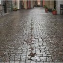 햇빛 찬란한 그 길 이미지