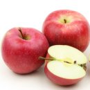 선화농장 이미지