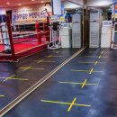 용인대 복싱클럽 이미지