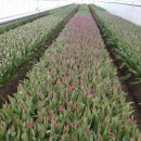 화림농장 이미지