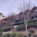 공지숲매점 이미지