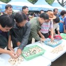 경주버섯 이미지