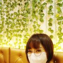 아이비타이테라피