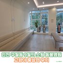 천동물병원 | 구월동 9월의소원동물병원 고양이중성화후기 (주차정보, 중성화 비용, 케어방법)