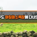 미소목장 이미지