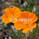 행복한아침 - 아산시 문화로 301-21 | 행복한아침