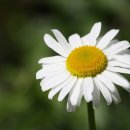 지산초병설유치원 이미지