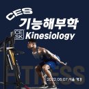 [서울/부산 전체 곧 마감됩니다] 5월 CES KOREA ​기능 해부학 클래스 이미지