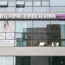 인셀덤수청지구