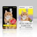 더펫(The Pet) 이미지