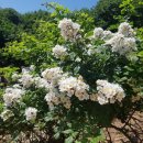 동해유정란농장 이미지