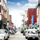 용현동물텀벙이거리 이미지