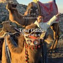 낙타 | 터키 카파도키아 선셋 투어 종류? - 낙타투어 추천 후기