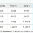 안양리버자이르네