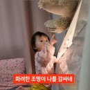 인천광역시립박물관 이미지