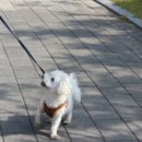 용못내공원 이미지