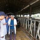 건주목장 이미지