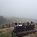 구령목장 네이버블로그