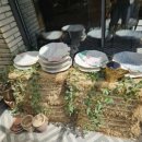 은골농원 이미지