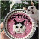 정성스럽개 이미지