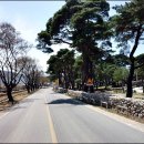 호텔한밤 이미지