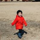 오동초병설유치원 이미지