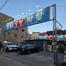 강원막창숯불구이 | 대구 전현무계획2 진해숯불막창 절창구이 #내돈내산 #솔직후기