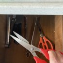 드르니오션리조트 이미지