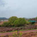 극락둑길 이미지