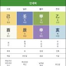 세이프독하우스 그루밍 | 복잡한 일상