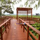 회산백련지 수상유리온실 이미지