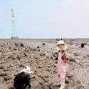 행복한농어촌체험마을 | 영흥도 갯벌체험 후기: 영흥용담갯벌체험마을, 물때표, 갯벌체험 준비물리스트