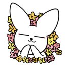 남다르다왁싱