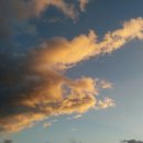 참조은 하우스 이미지