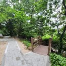 동부센트레빌 앞 도로 이미지