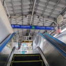 승설 녹차 | 후지산보러 간 가와구치코 1박2일 후기(후지카이유/고속버스)