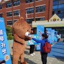 노일초등학교 이미지