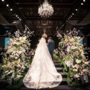 엔진소리 이미지