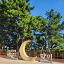 스타벅스 해운대달맞이점 | 부산 테라스 있는 스타벅스 해운대달맞이DT점 해운대카페