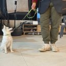 준독트레이닝센터 이미지