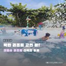 제이크림슨 | 세부 막탄 크림슨리조트 후기 수영장 조식 디럭스룸까지 만족했던 세부 호텔