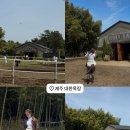 아르떼플로 | 제주도 잘안알려진 포토스팟 공유 /제주도 포토스팟