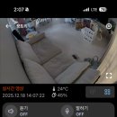 인큐템 | 육아아이템! 이글루템 S8 내돈내산/국산홈캠/보안/설치 및 기능