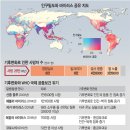 판도라의 숲 이미지