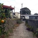 효돈로,일주동로 이미지