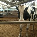 준이목장 이미지