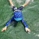 매여울공원 이미지