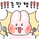 황금낙지돌솥밥