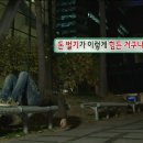 속시원한 토익펀치 RC 1 | 다들 별빛달빛 나올 때 몇살이셨어요?