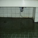 대전삼천초등학교 이미지